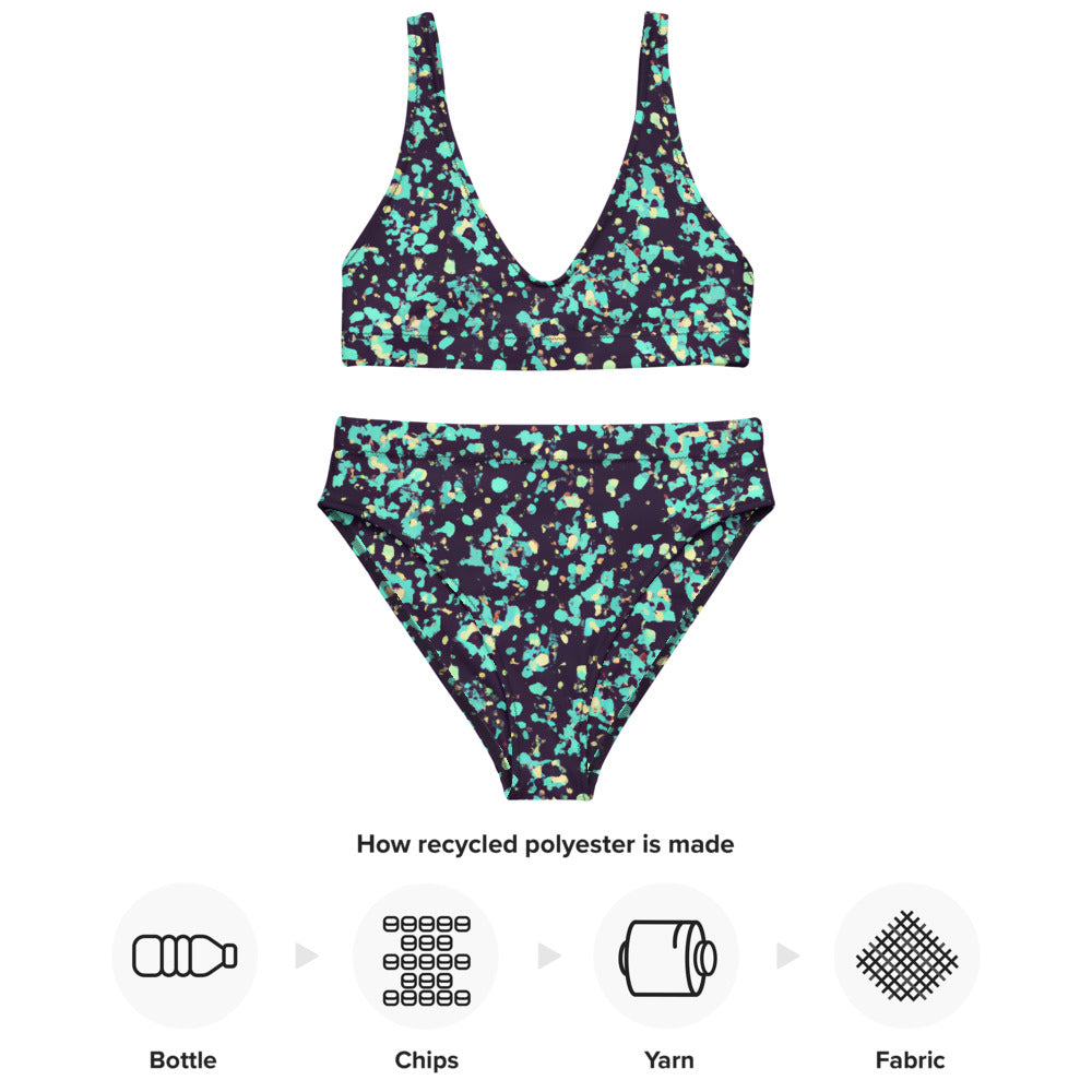 Regal High-Waisted Bikini