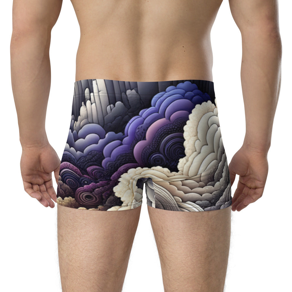 Tempest Threads Boxer Briefs